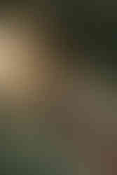 Jeremy and Shelby smiling during their fairytale engagement session in downtown Macon captured by a Macon Georgia engagement photographer