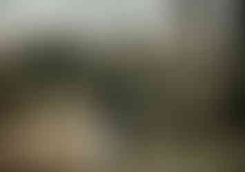 December Wedding Photographed by Kari Bendig Photography at The Wedding Barn at L'Horne in Byron Georgia