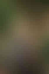 Jeremy and Shelby smiling during their fairytale engagement session in downtown Macon captured by a Macon Georgia engagement photographer