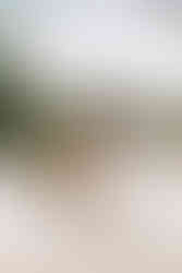 December Wedding Photographed by Kari Bendig Photography at The Wedding Barn at L'Horne in Byron Georgia