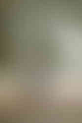 North Carolina Garden Engagement Session at Airlie Gardens in Wilmington, North Carolina