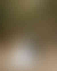 Love Blooms: Cassie and Noah's Magical Burgundy Rose Wedding in Middle Georgia| with Wedding Photographer Kari Bendig Photography