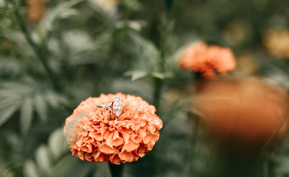 A Fairytale Engagement Session at Turnipseed Nursery Farms | Atlanta Engagement Photographer