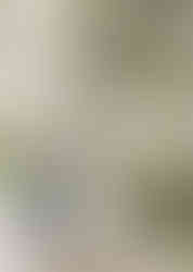 Savannah Georgia Engagement Session