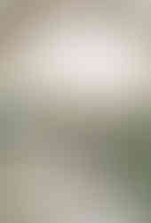 Savannah Georgia Engagement Session