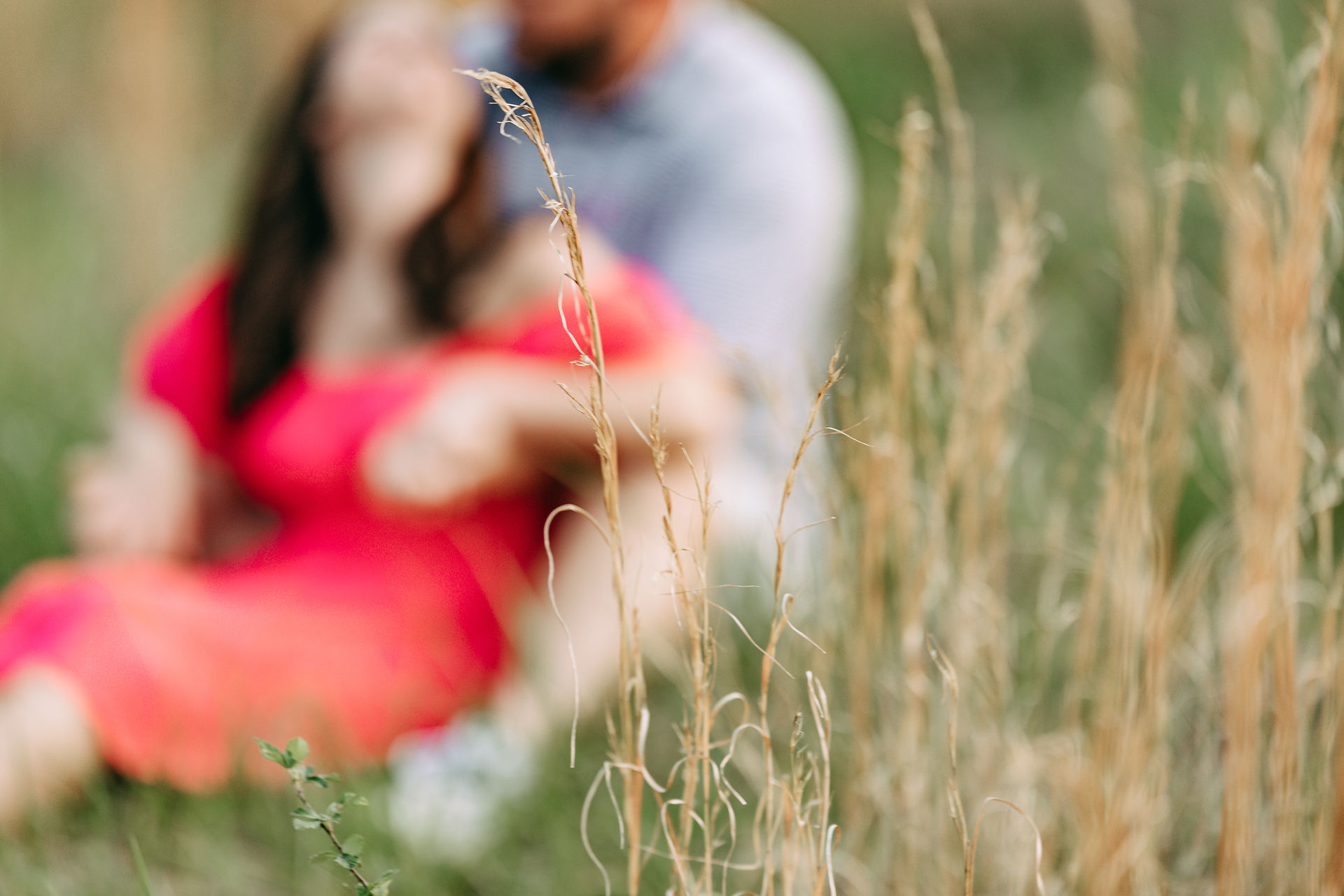 Morgan and Andy laughing together in the golden fields of The Wedding Barn at L'Horne during their engagement session