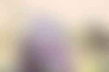 Wedding Photographer near Byron Georgia