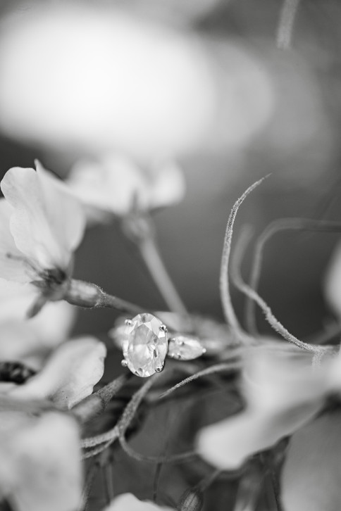 Savannah Georgia Engagement Session