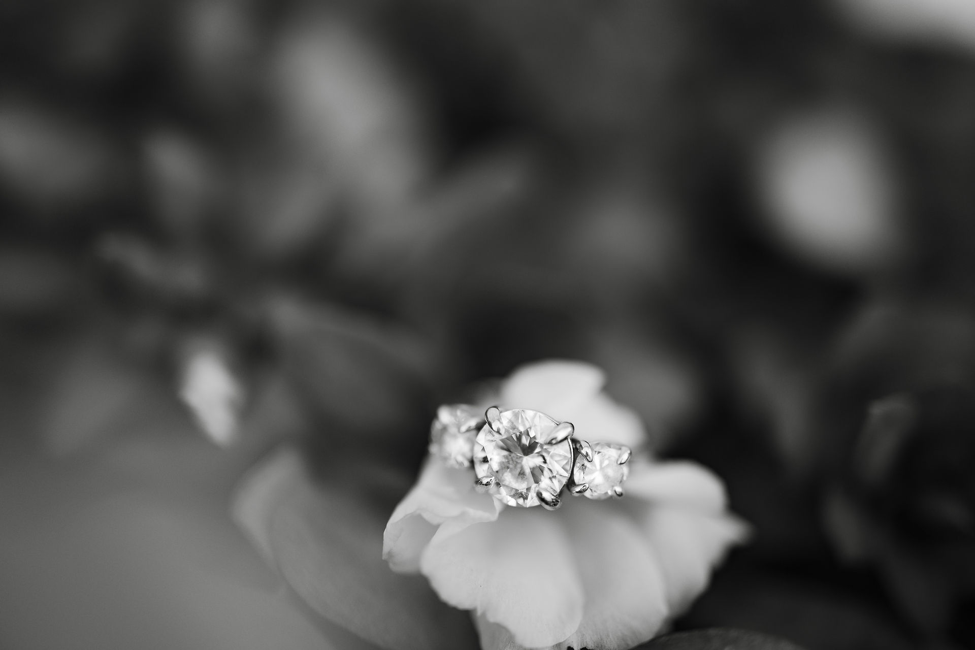 Close-up of Morgan’s engagement ring as she holds Andy’s hand at The Wedding Barn at L'Horne