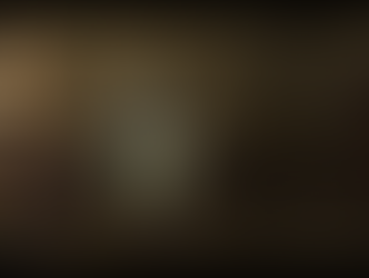 День четырнадцатый.