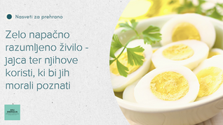 Zelo napačno razumljeno živilo - jajca ter njihove koristi, ki bi jih morali poznati