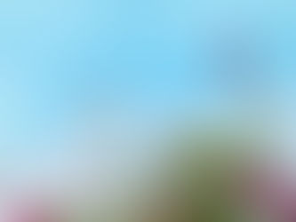 これだけはやっておきたい秋スキンケア