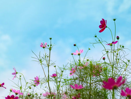 これだけはやっておきたい秋スキンケア