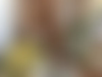 コロナ対策について