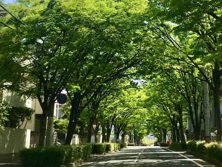ゴールデンウィークお休みのお知らせ