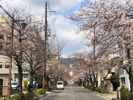 April ♪