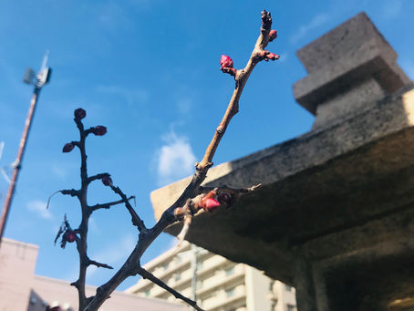 2月はお肌が弱くなる?