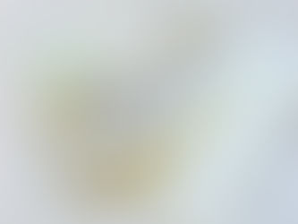 母の日のプレゼントにギフトチケットいかがですか？