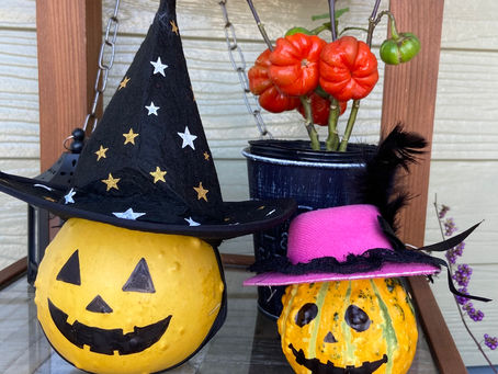 かわいい子たちをお迎えしてます