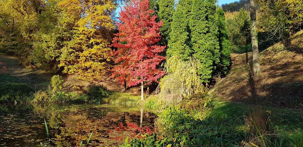 Offene Gartenpforte Sonntag