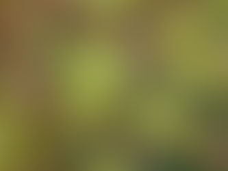 Impressionen im April