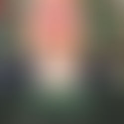 Les Fêtes comme opportunité de faire le bilan: un exercice pour les leaders