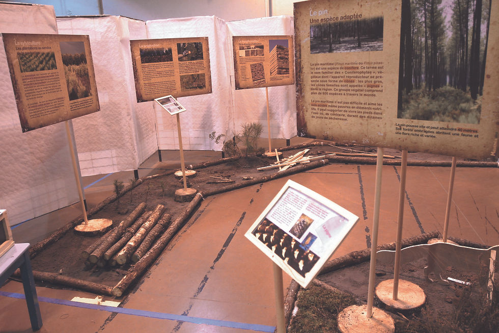 expo foret ok.jpg
