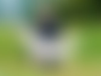 CACIB Lipica Slovenia Est Factum Ursa Major - BOB Puppy