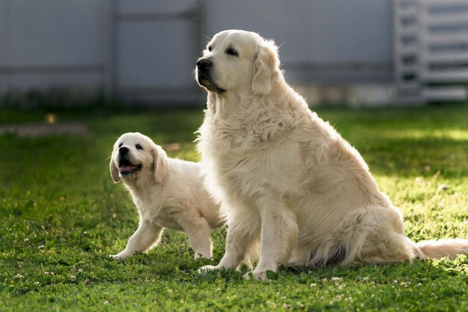 Дядя Бузя / Uncle Buzya