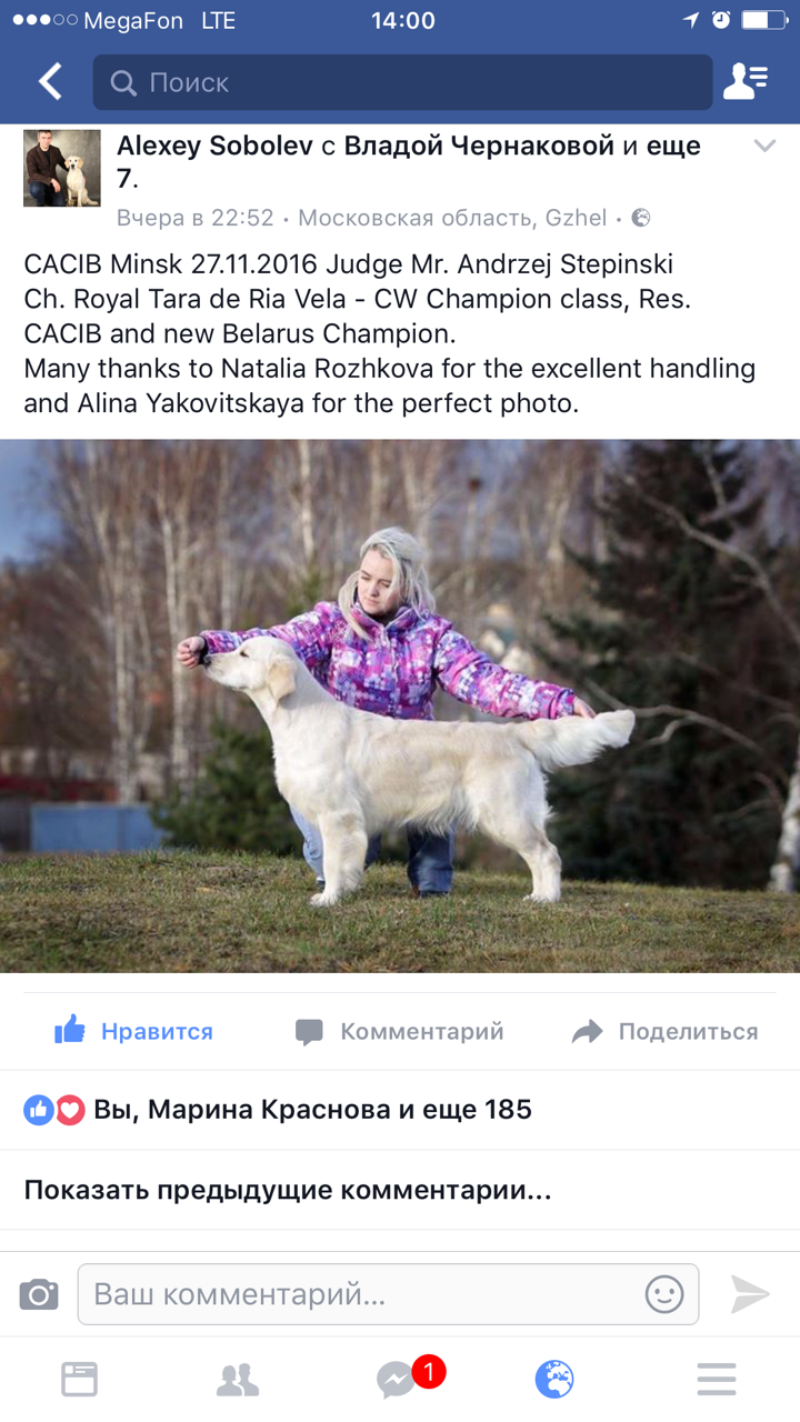 Минск, Кора