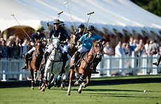 Polo.jpg