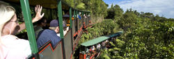 driving-creek-railway.jpg