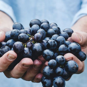 Le Cordon Bleu apresenta o curso Wine&Spirits 