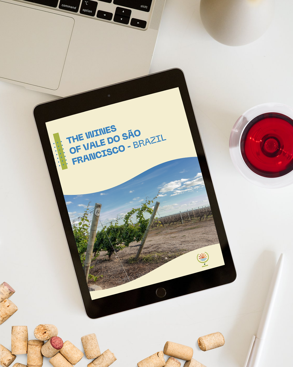Vale do São Francisco lança e-book sobre os vinhos da região