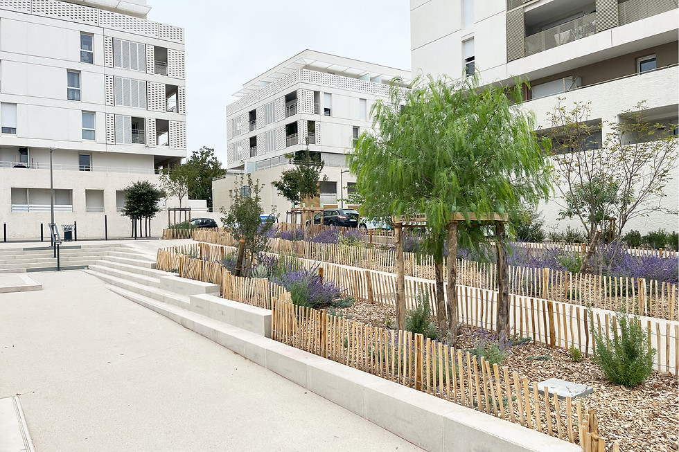 Sans titre-1_edited.jpg