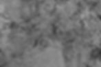 sable_lignon_edited.jpg
