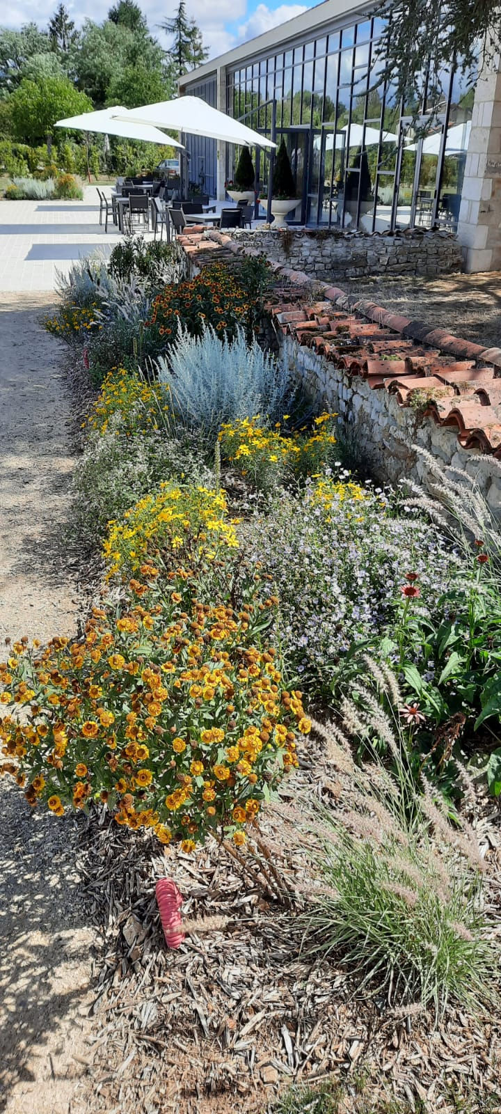 WhatsApp Image 2022-08-30 at 23.08.00.jpeg