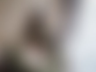 ECサイトがオープンしました