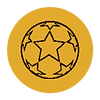 AMS-Futsal-Icon.png