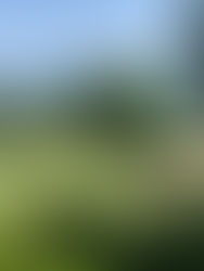 Creative spacer for the BEING