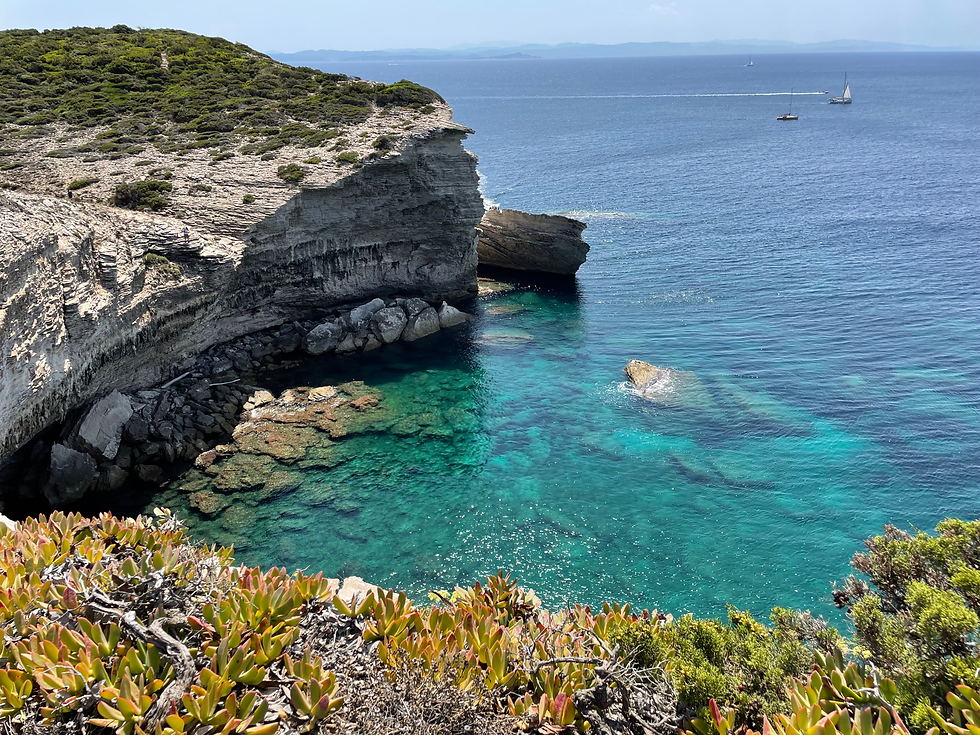 ¿Qué es Coaching? Webinar en Español Gratuito