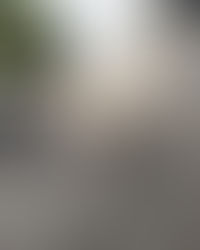 (Mantequilla) Butter Needs a home