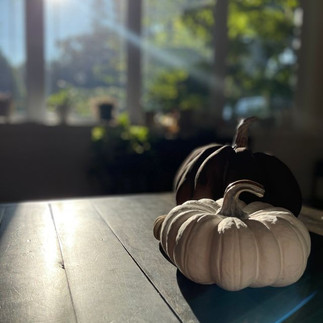 DIY textured pumpkins, how to, craft, fall decor, fall craft, DIY home decor, boujee on a budget, boujie on a budget, before and after diy textured pumpkins, baking soda, acrylic paint, designer dupe