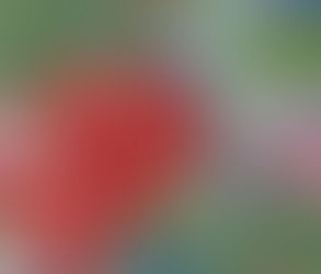 Being an artist during Covid