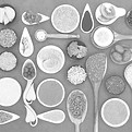 Assorted Healthy Ingredients_edited_edit