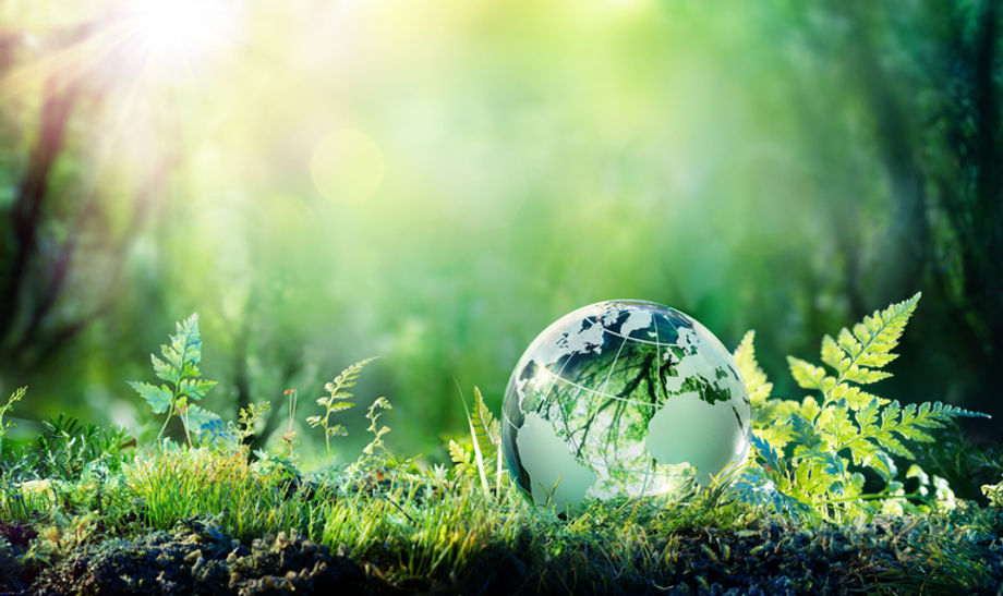Bannerbild von eco clean service - ihr umweltfreundliche Reinigungsservice