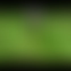 Pearls and Manners - Part 1