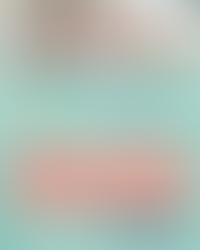 Estilo de Crianza Autoritario