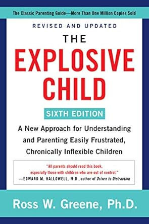 The Explosive Child
