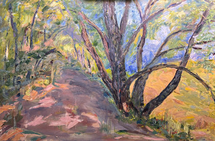 The Cottonwood Trail